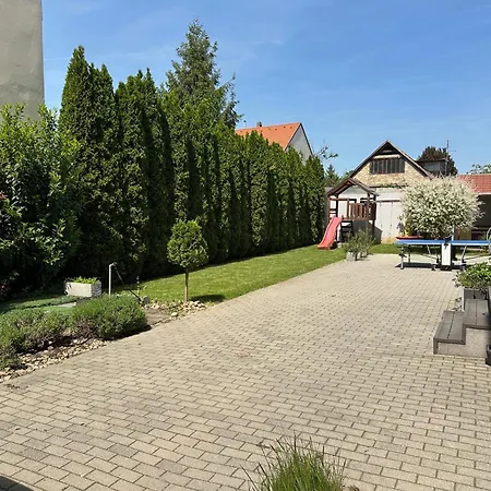 Arviz Szeged